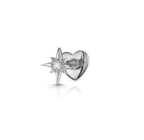CANNER 1pc 925 Silver Horse Eye Stars Flower studs For Women 18K Gold Flat Head Threaded Puncture Ear Bone Ins Fine Jewelry